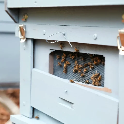 pexels-nguyendesigner-7860749